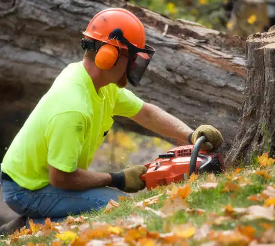 tree services East Shoreham